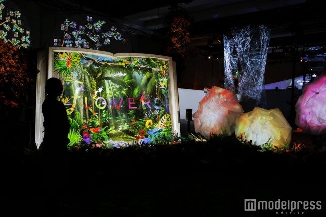 「FLOWERS BY NAKED」初の沖縄開催が決定／画像提供：ネイキッド