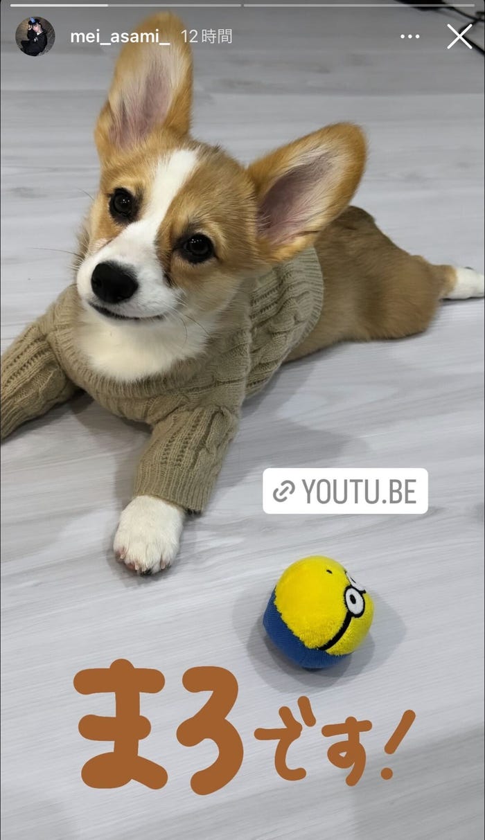 浅見めいInstagramストーリーズより