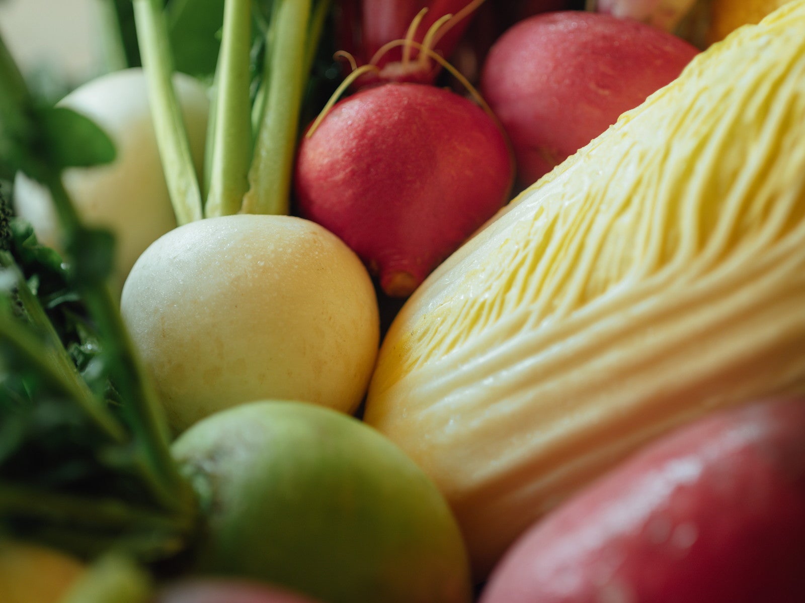 ベッカ イズ／提供画像