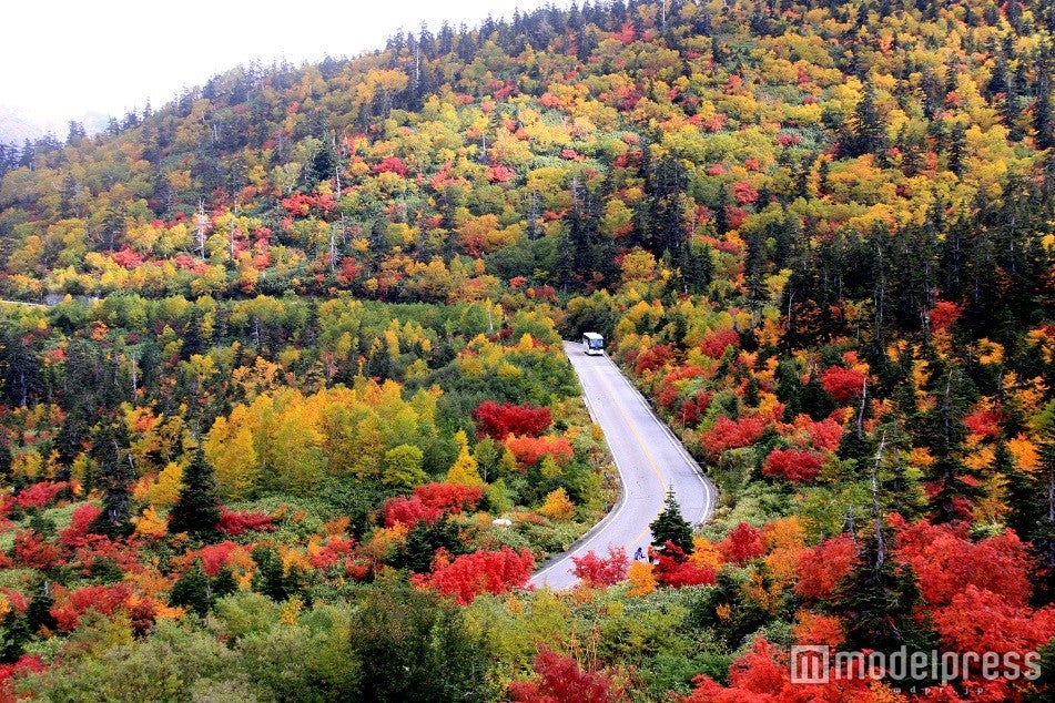 立山黒部アルペンルート／画像提供：立山黒部貫光