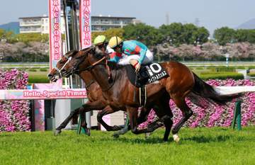 【大阪ーハンブルクC】ウィクトルウェルス 人気応えてオープン初勝利 ルメールが素質評価「能力感じる」 宮田師も一安心「いい形で直線で勝ち切ってくれた」