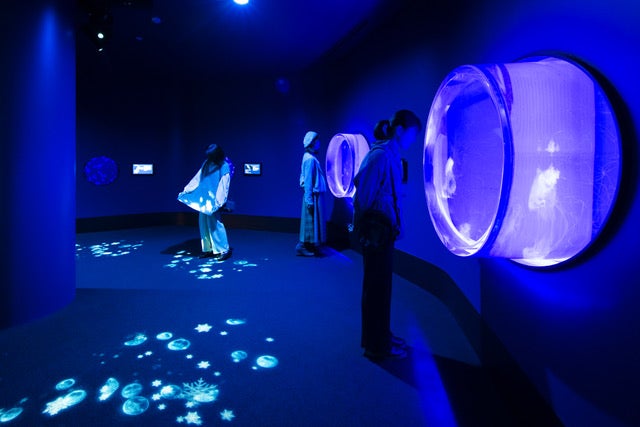 クラゲ大水槽[クラゲ365] （提供画像）