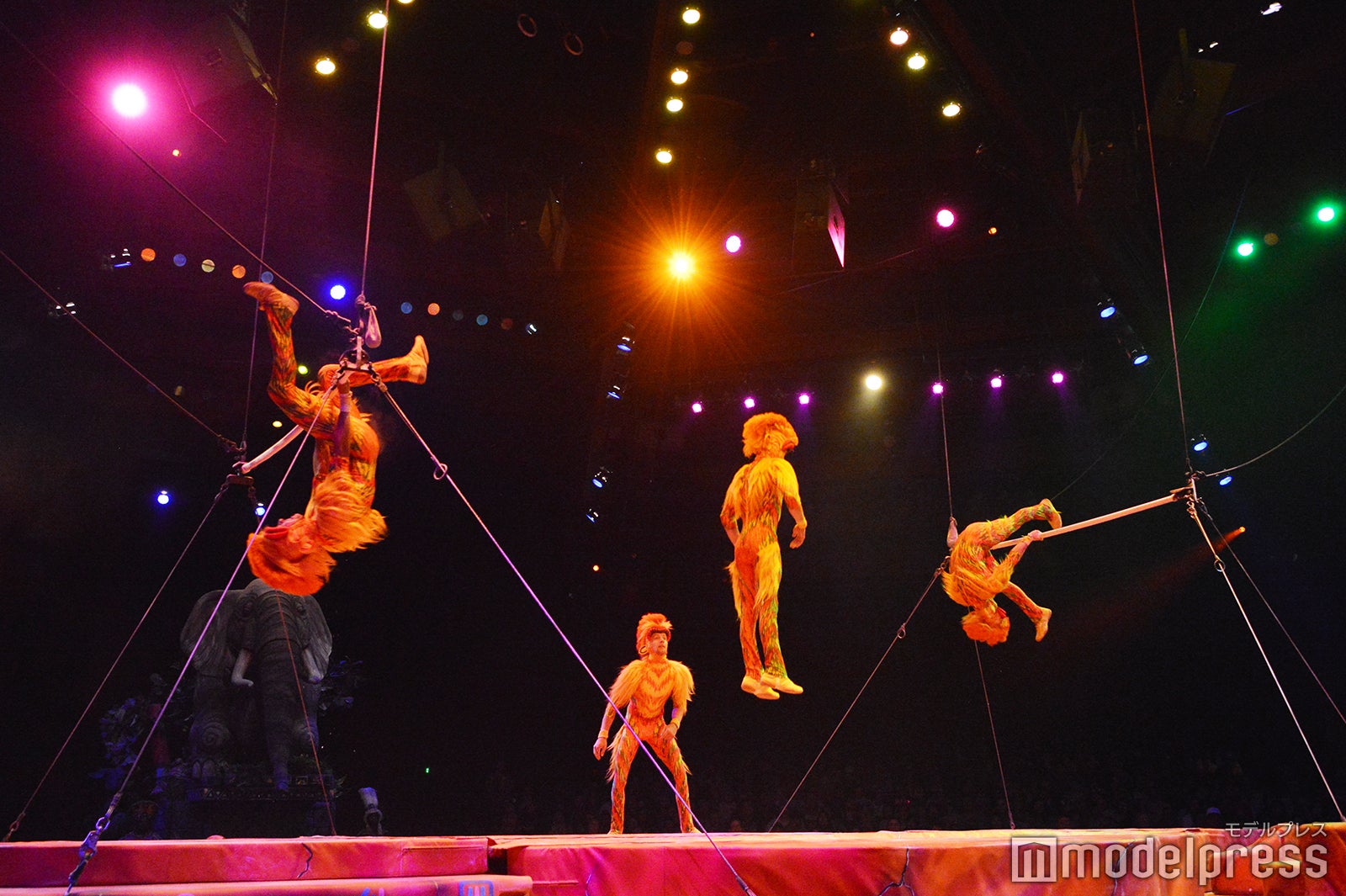 「フェスティバル・オブ･ザ・ライオン・キング」（C）モデルプレス（C）Disney