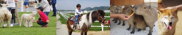 ママが行ってよかったと大絶賛！南大阪の「親子みんなで楽しめるスポット」