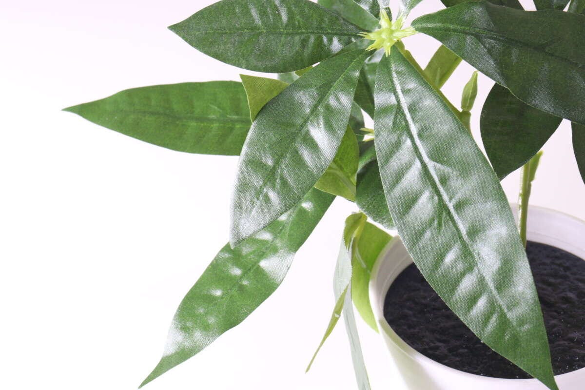 ダイソー　グリーンポット（1）　　インテリア　葉っぱ