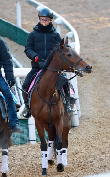 【新馬戦】ソレイユルヴァン 魅力はスピード 辻野師「前向きで走ってきそうな雰囲気」