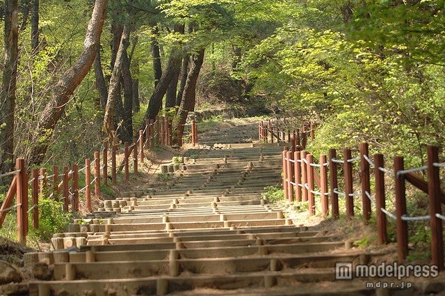 山登り散歩コースとしても人気／Photo by anja_johnson