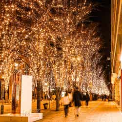 丸の内イルミネーション(提供写真)