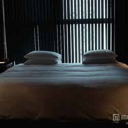 客室一例「黒/BLACK」で統一された空間/photo by Jun Kaneko