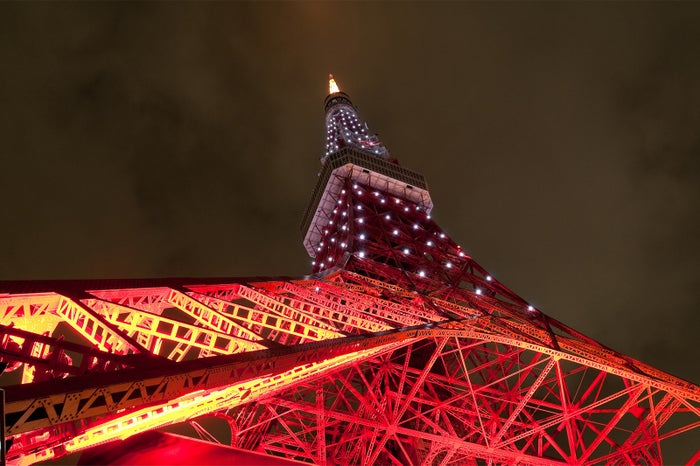 東京タワーで正月限定ライトアップ 元旦は初日の出観賞も 女子旅プレス