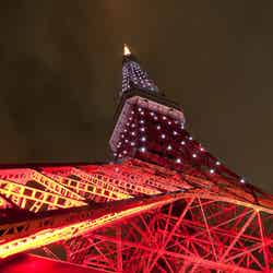 「リボンゴールド・ダイヤモンドヴェール」点灯イメージ/画像提供:東京タワー