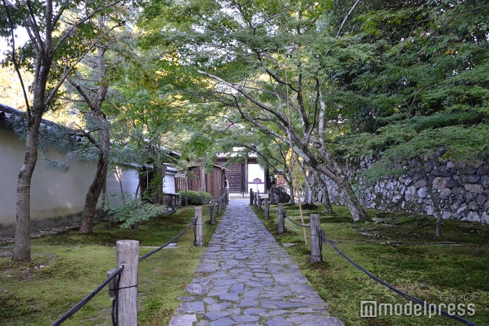 酬恩庵一休寺（C）ビューティーガール