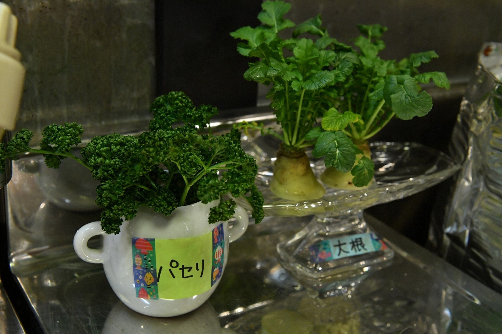 「花のち晴れ～花男 Next Season～」第1話より（C）TBS