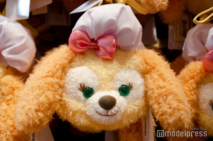 パスケース(1800円)(C)モデルプレス(C)Disney