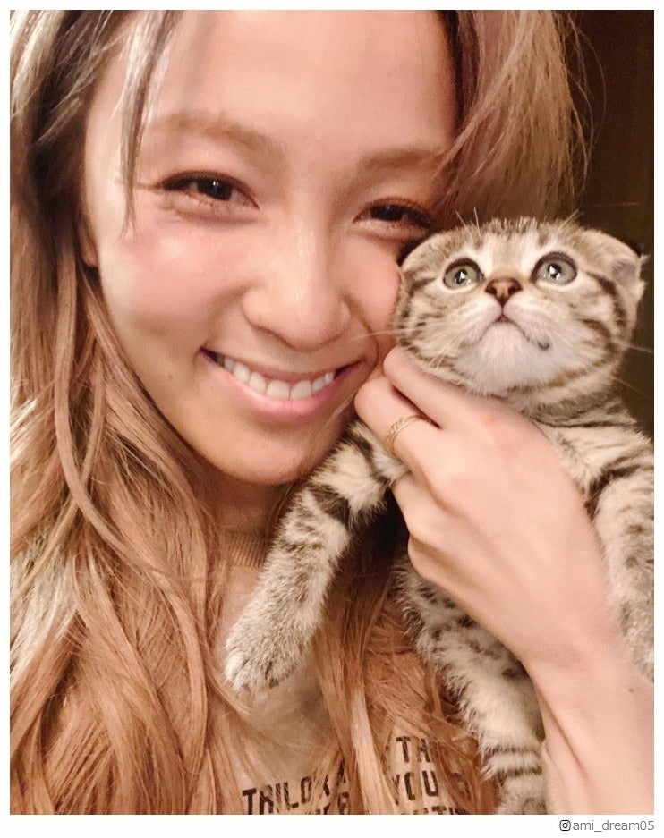 保護猫 迎える芸能人増加 Dream Ami ミキ亜生 木村花さんが繋いだ出会いも話題 モデルプレス