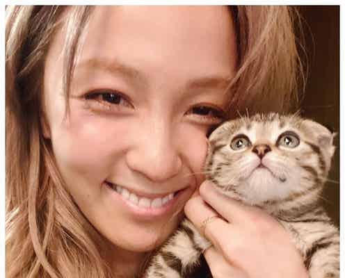“保護猫”迎える芸能人増加 Dream Ami・ミキ亜生…木村花さんが繋いだ出会いも話題