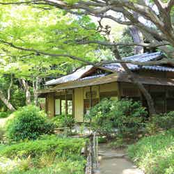 東京都庭園美術館/提供:東京都庭園美術館