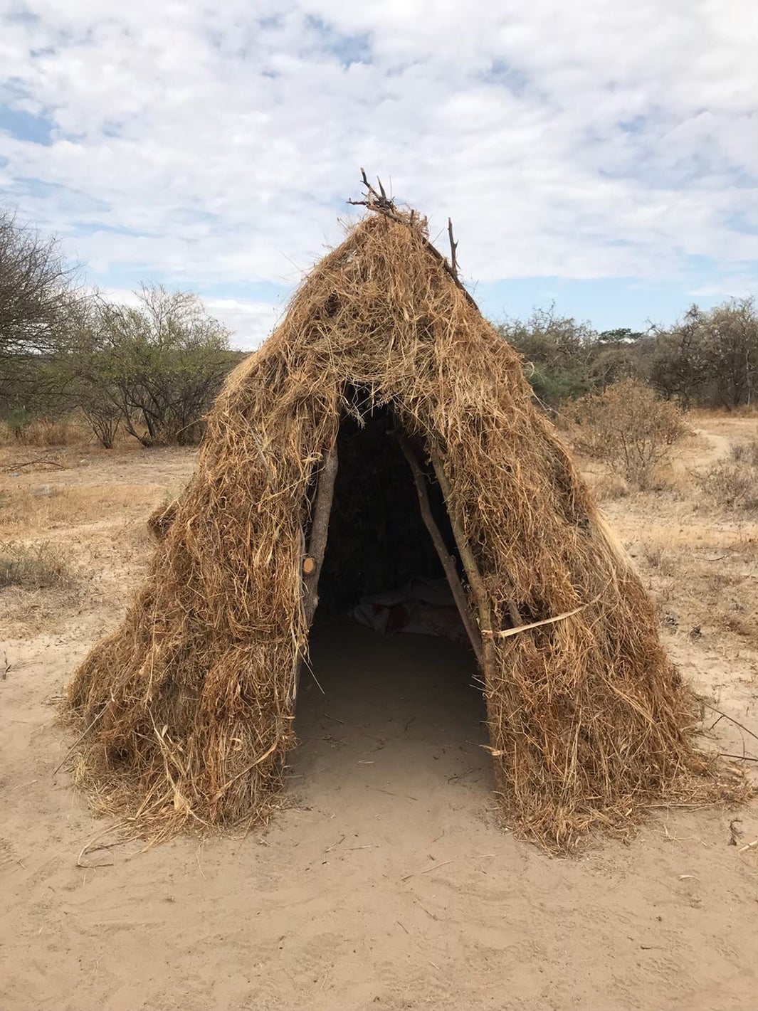 「所さんの目がテン！」アフリカ大陸タンザニア大型ロケの様子（C）日本テレビ