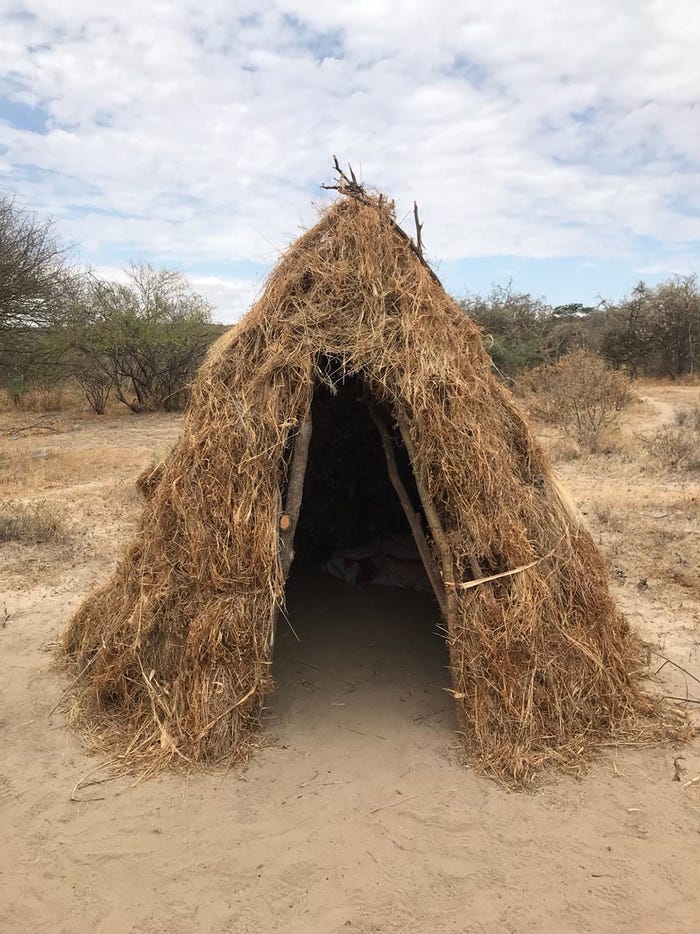 「所さんの目がテン!」アフリカ大陸タンザニア大型ロケの様子(C)日本テレビ