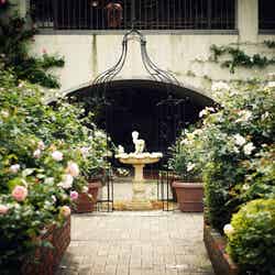 ヨーロッパの田舎町のような空間/画像提供:神戸布引ハーブ園