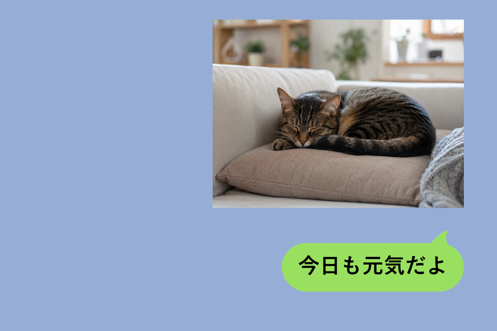 友人の猫を預かった私が、初日の写真を送り続けてしまった理由