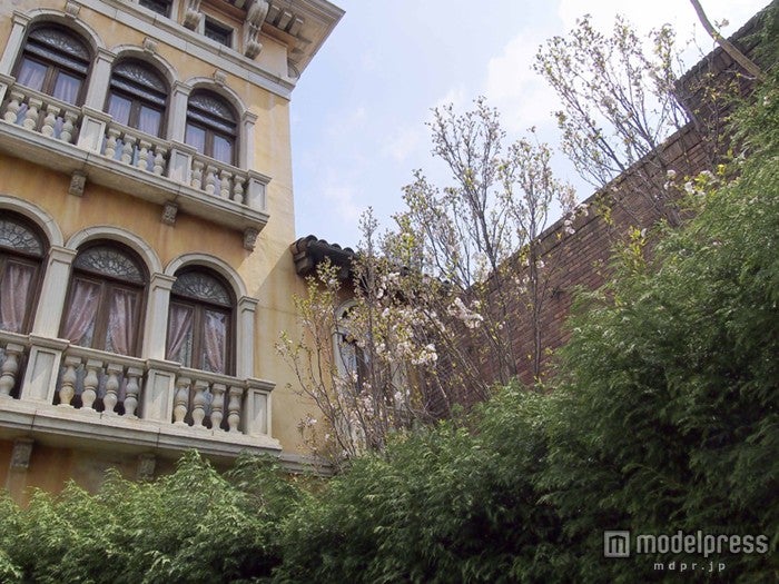 アマノガワ（4月中旬～下旬）／ディズニシー・メディテレーニアンハーバー「リストランテ・ディ・カナレット」付近／（C）Disney