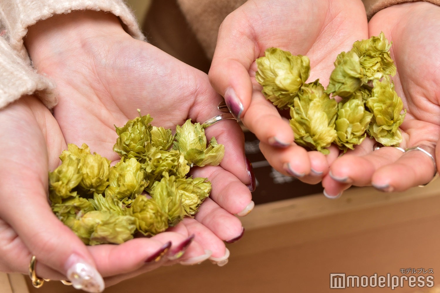 はじめて触るホップにドキドキ（C）モデルプレス