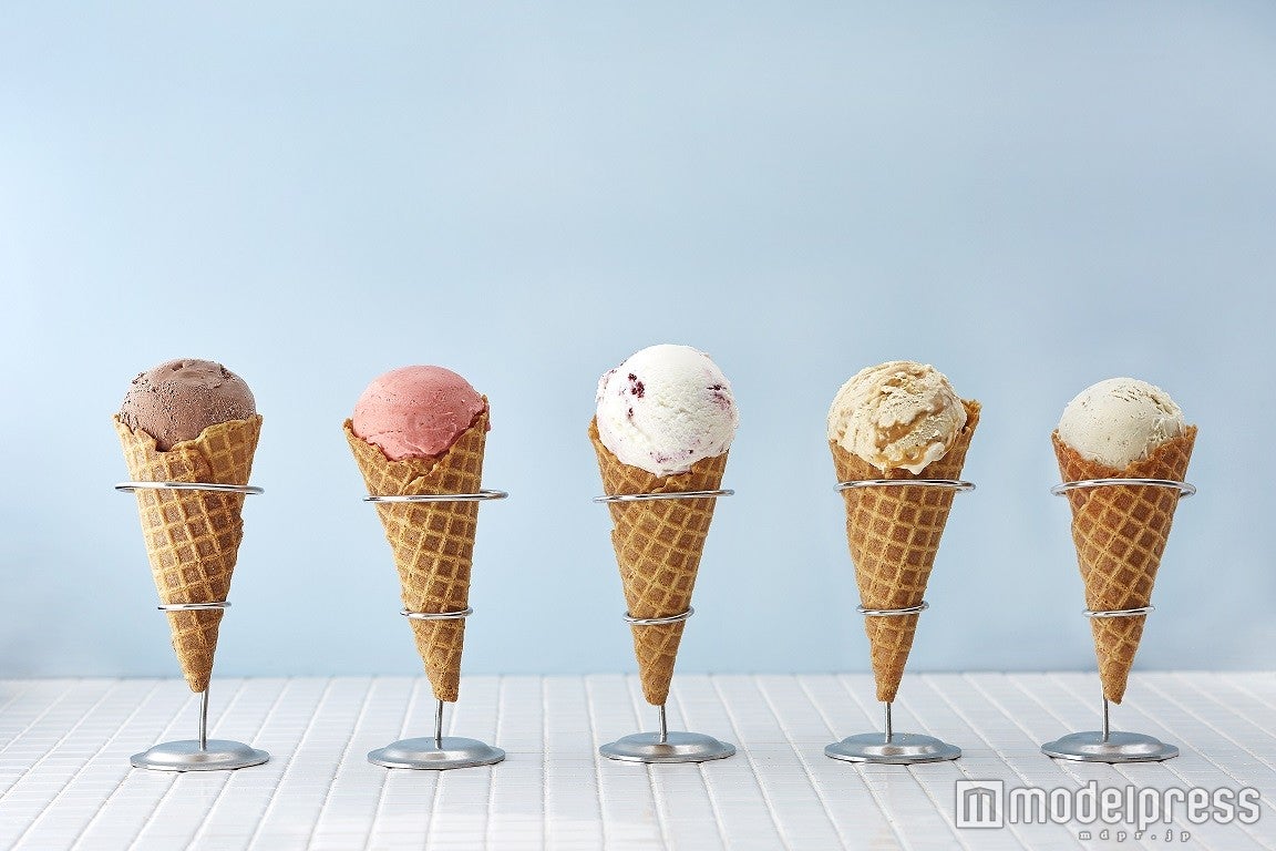 THE MART ICE HANDELS VAGEN／画像提供：MFSJ