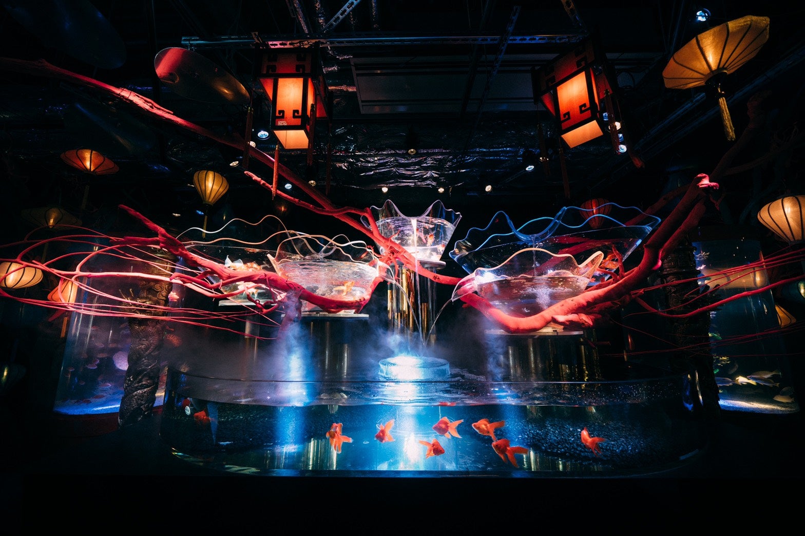 UWS AQUARIUM GA☆KYO／画像提供：UWS ENTERTAINMENT