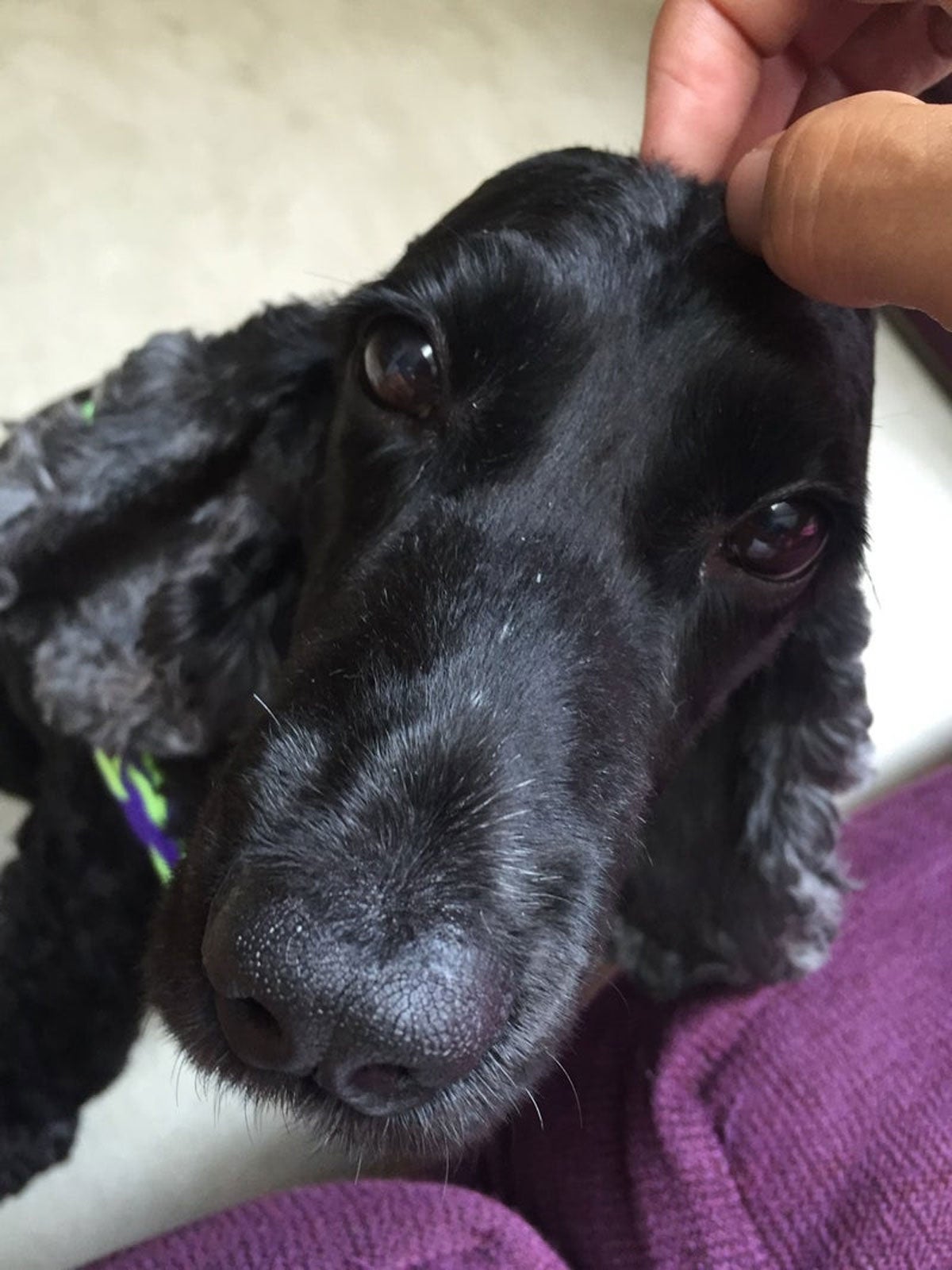 高橋克典オフィシャルブログ（提供写真）