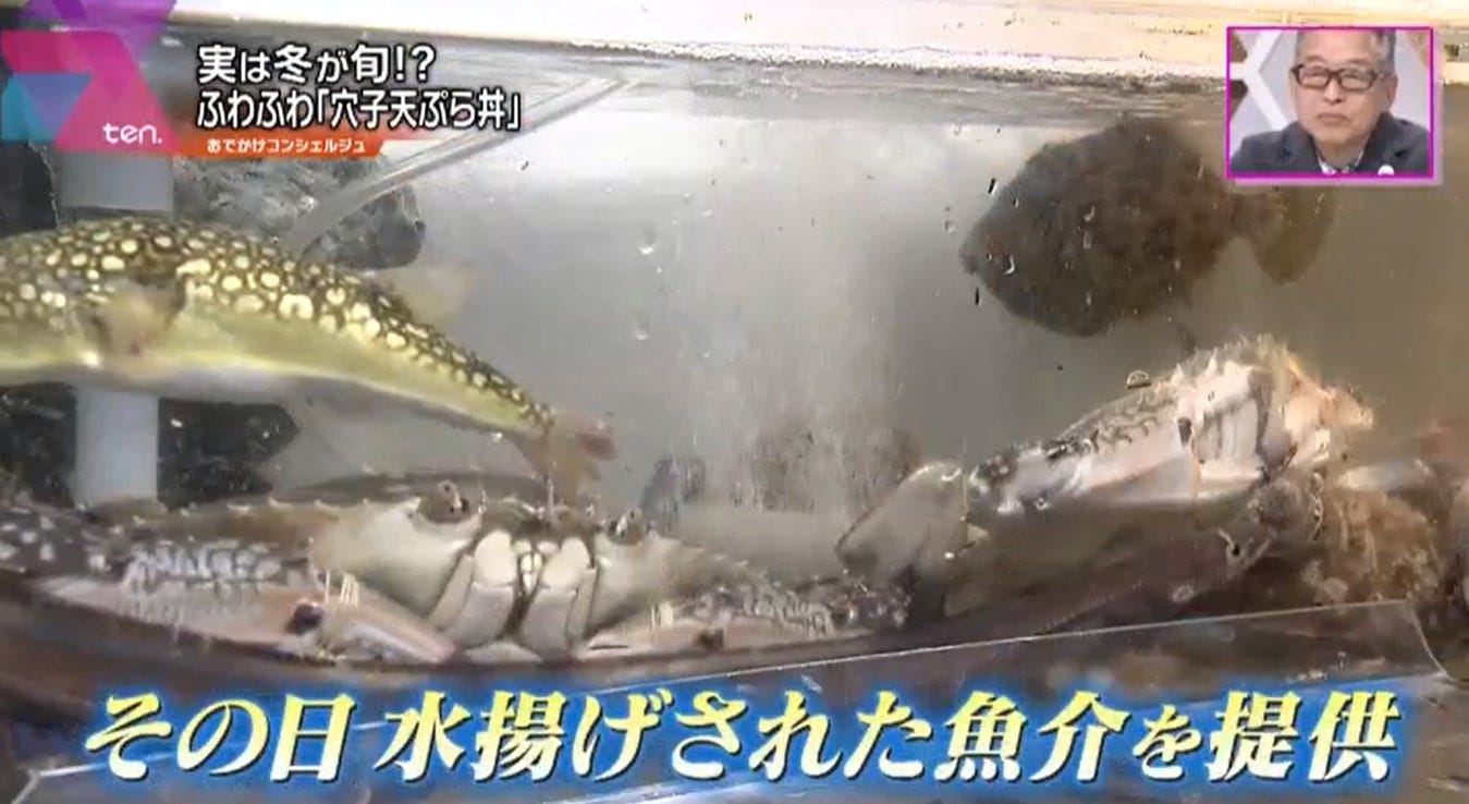 あなよしの水槽