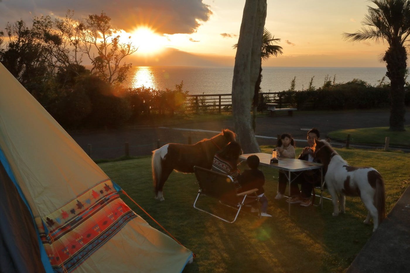 「京急油壺温泉キャンプパーク」BBQにキャンプ、ドッグラン備えた新レジャースポット