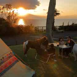 京急油壺温泉キャンプパーク/画像提供:京浜急行電鉄