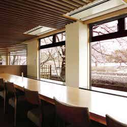 茶兎里/提供画像