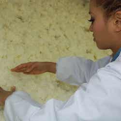 日本酒造りに奮闘する今泉宏美