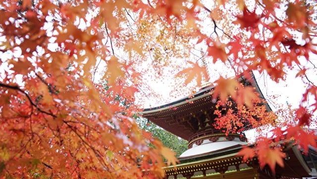 地元の人が教える“穴場”も♡