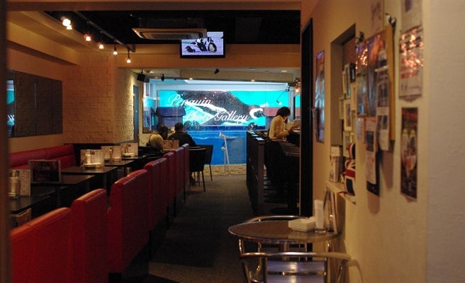 週末のおでかけ 忍者にペンギン かき氷 大人女子にオススメしたい都内のコンセプトbar ダイニング3選 女子旅プレス 週末のおでかけ 忍者にペンギン かき氷 大人女子にオススメしたい都内のコンセプトbar ダイニング3選 女子旅プレス