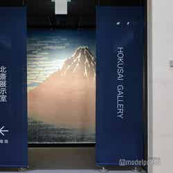 (C)モデルプレス