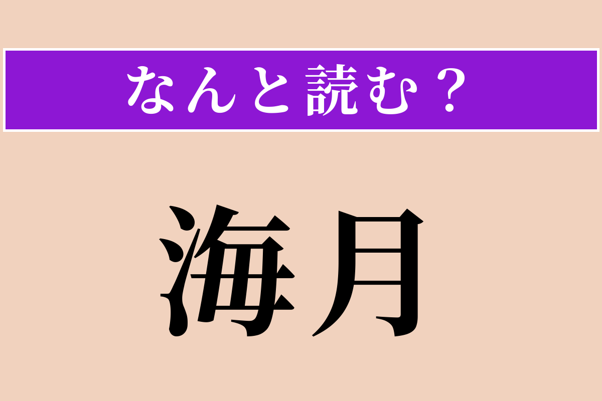 【難読漢字】「海月」正しい読み方は？ 癒されます