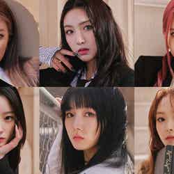 LIGHTSUM/提供画像