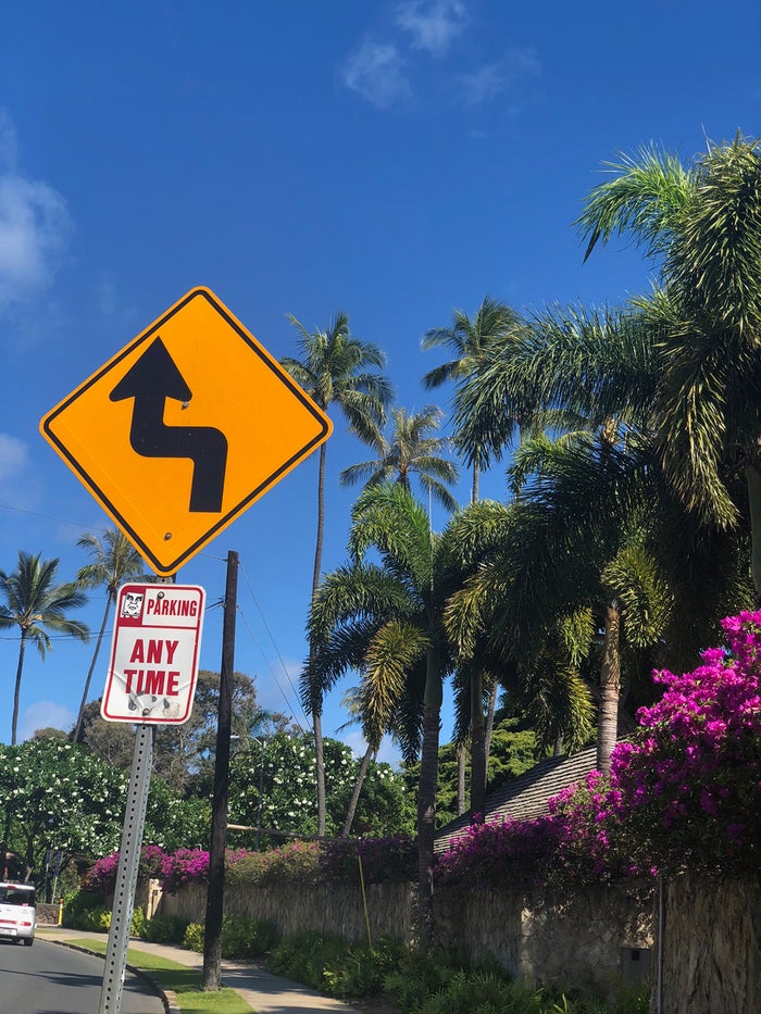 ダイヤモンドヘッド（提供画像）