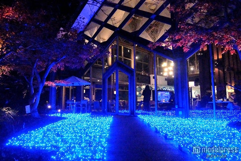 まるで光の海のよう、京都で幻想的なイルミ1万球に包まれる