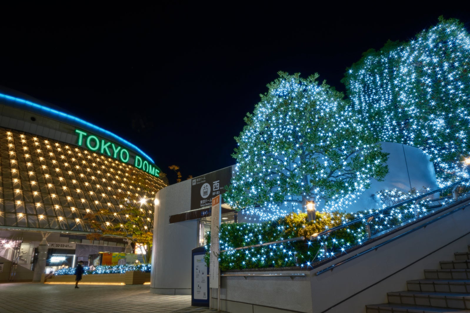 「TOKYO SNOW DOME CITY」（提供写真）