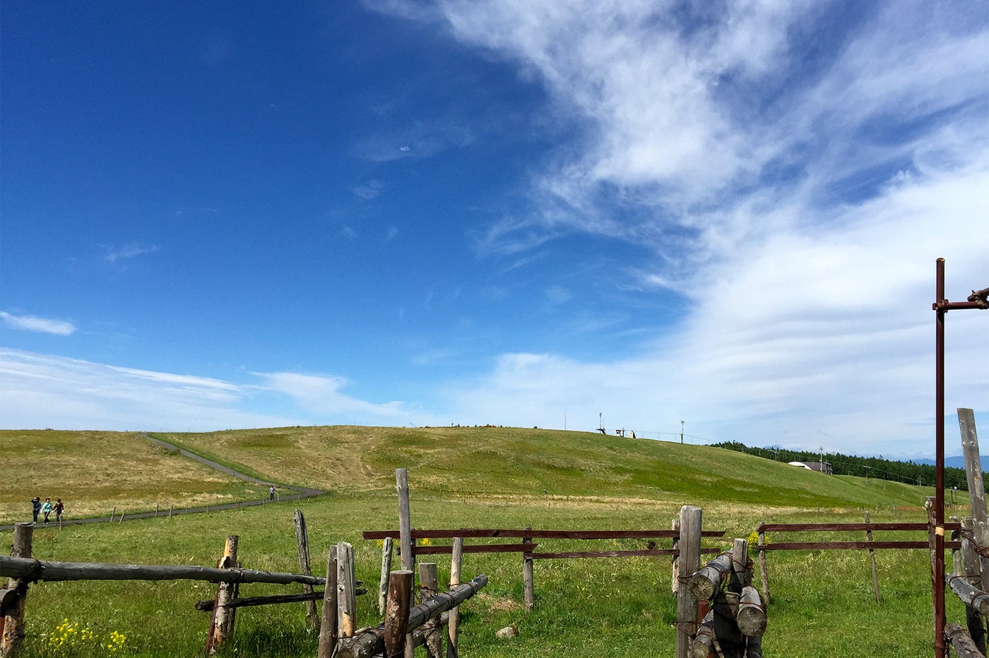 どこまでも広がる草原と青空／画像提供：（一社）諏訪観光協会