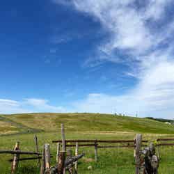 どこまでも広がる草原と青空/画像提供:(一社)諏訪観光協会