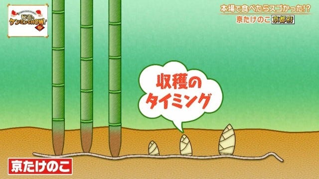 「絶対にうまい」京都府民を虜にする“京都限定の野菜”