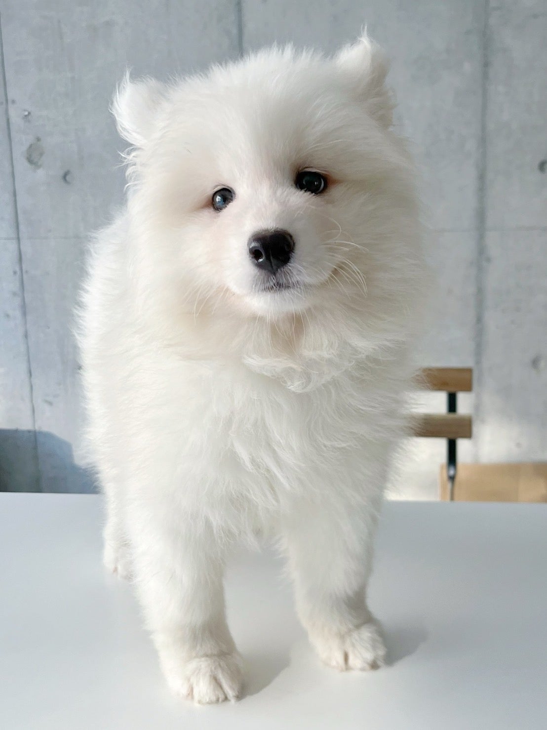 2号店の赤ちゃん／提供素材