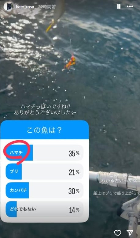 加藤ローサInstagramストーリーズより