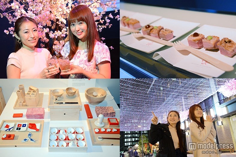 美食もアートもイルミも！知的好奇心を刺激する“日本橋 桜フェスティバル”体験レポ