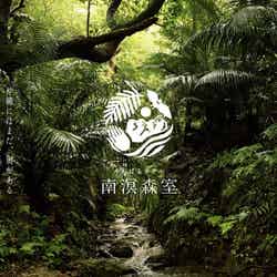 沖縄に新ホテル「やんばる南瞑森室」露天風呂や縁側付の平屋を貸切に